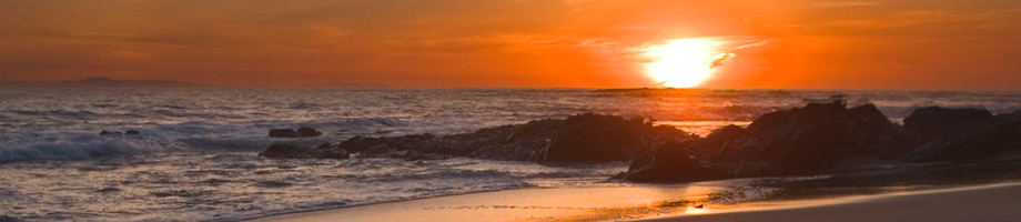 Rosemere Neighborhood Association Rotating Header Image