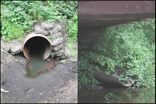 Municipal Stormdrains that Carry Contaminated Stormwater From the Rosemere Neighborhood into Burnt Bridge Creek
