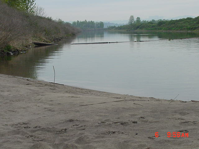 frenchmansbar3 Upright stick (left side of photo) indicates the location of the syringe found inside the Flushing Channel, near the water line on April 6, 2005.