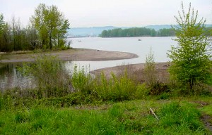 Mouth of the Flushing Channel, Vancouver Lake